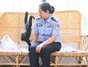 猿猴賴上警察媽媽