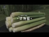 國民健康植物－茭白營養價值為哪般？